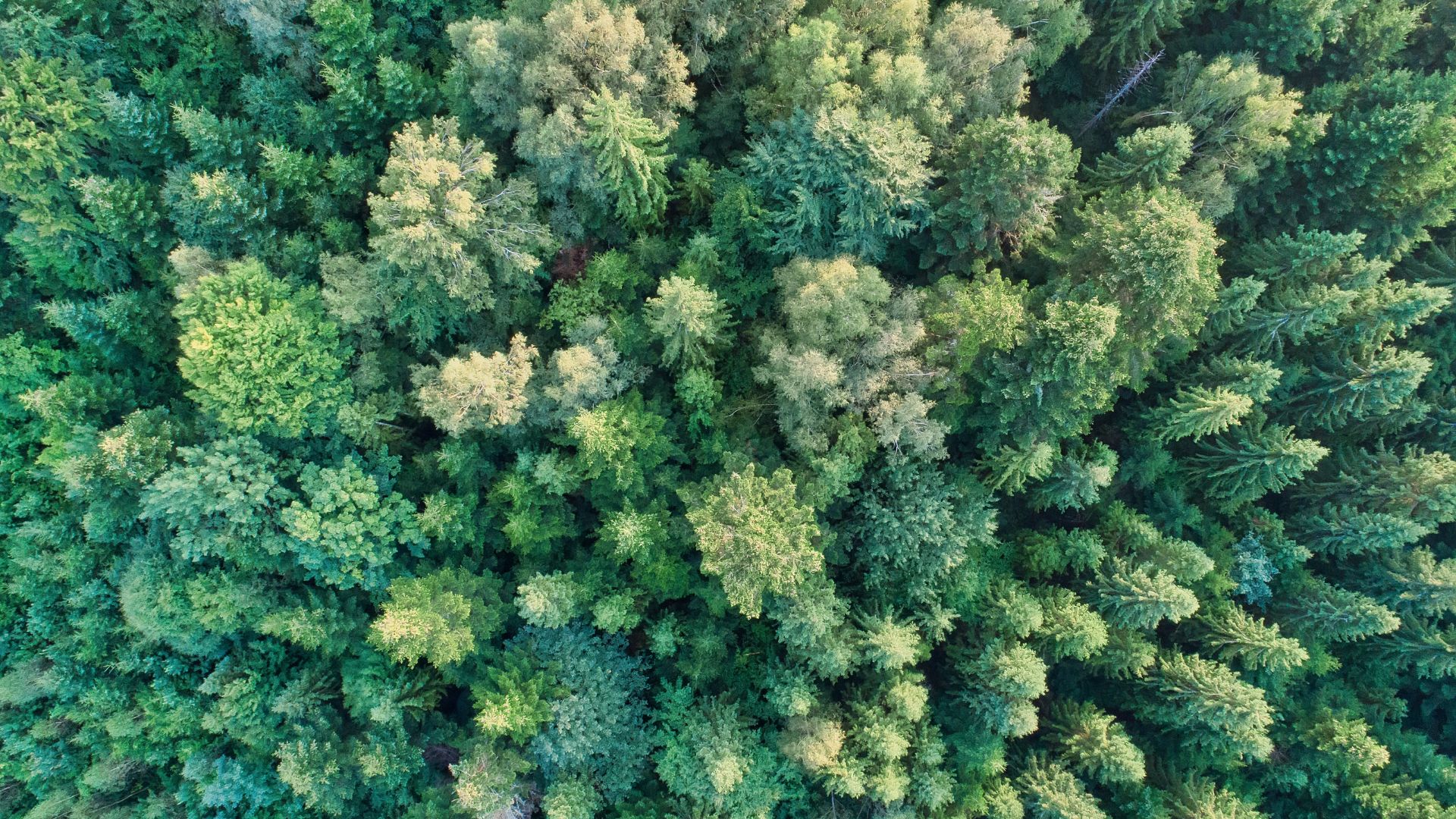 Hotel Lac Salin Hotel Lac Salin